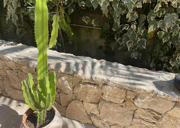 فندق Bon Abri - Maison Sanaryenne 3*